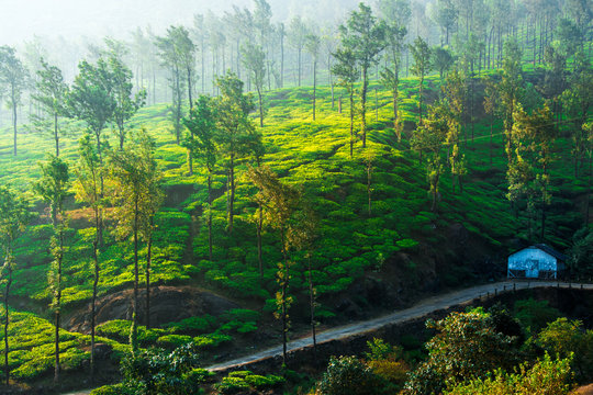 Munnar Best Places To Visit In India