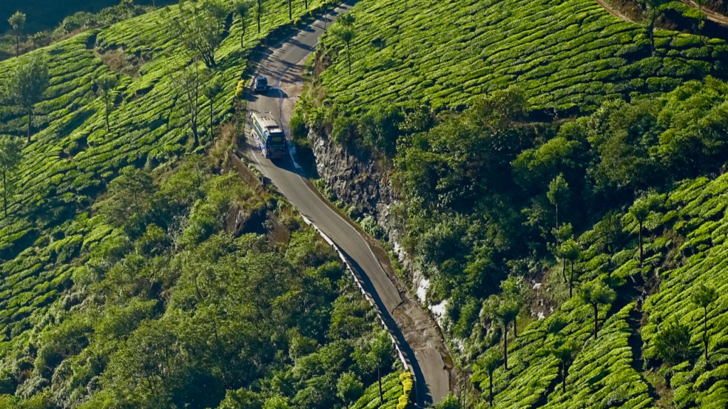 Munnar in India, best places to visit in India