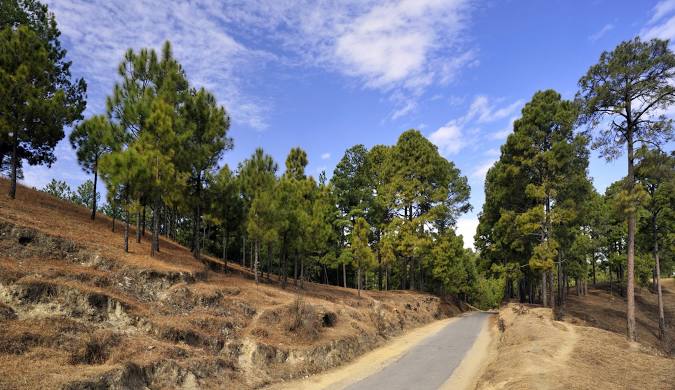 Ranikhet Best Place To Visit In India
