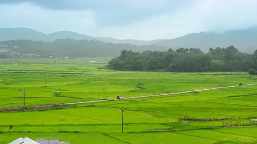 Ziro Valley