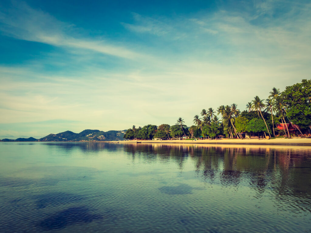 beautiful tropical beach sea with coconut palm tree