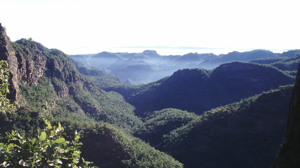 Pachmarhi, hills, greenery 