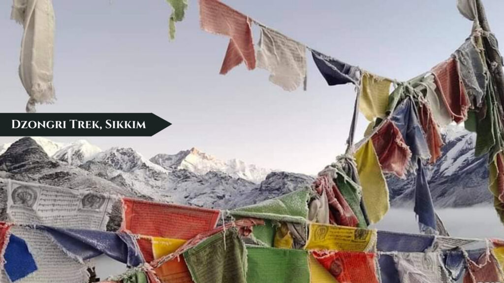 Dzongri Trek, Sikkim