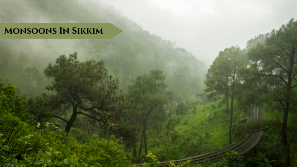 Monsoons In Sikkim