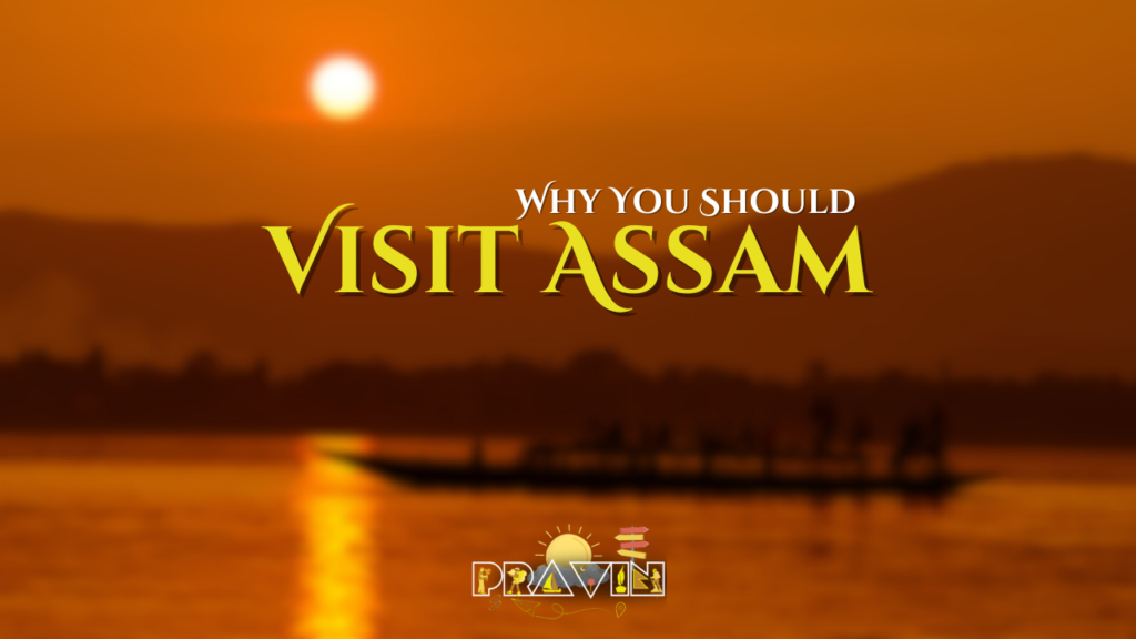 Why You Should Visit Assam