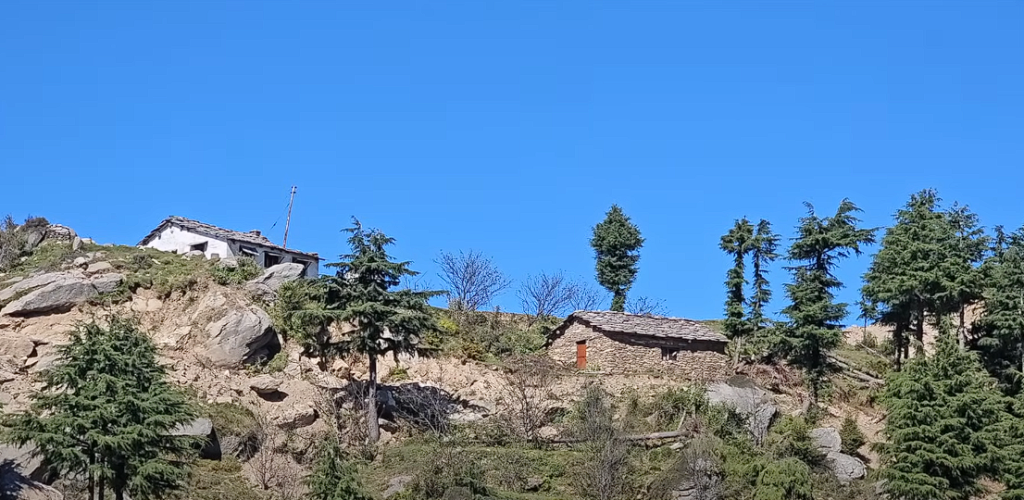 Nohradhar Village - Base Village For Churdhar Peak Trek Nohradhar Village - Base Village For Churdhar Peak Trek